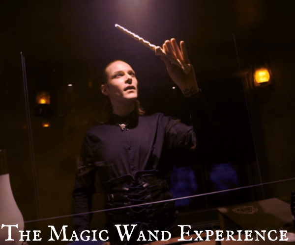 The Cauldron & Wizard Exploratorium Paper Tickets