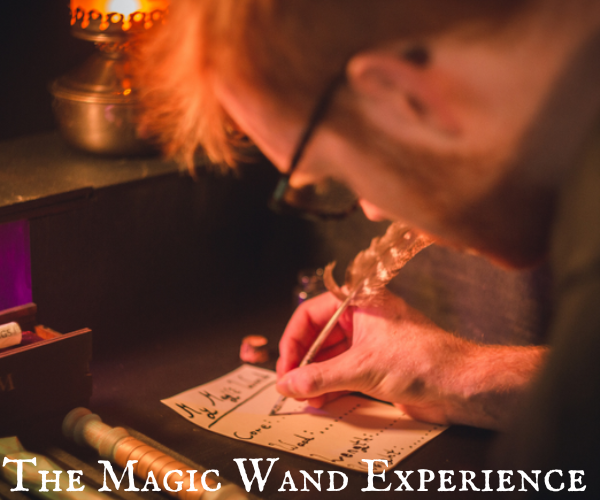 The Cauldron & Wizard Exploratorium e-Tickets